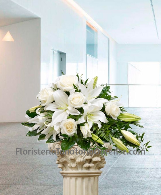 Centro funerario alargado blanco