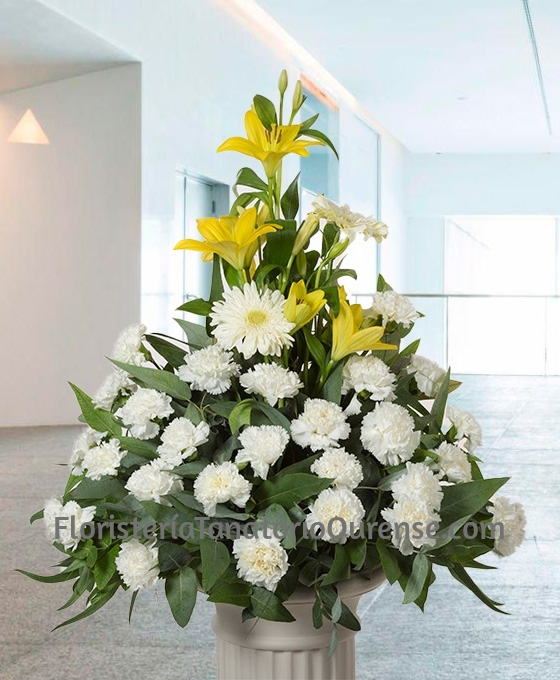 Centro funerario Condolencia