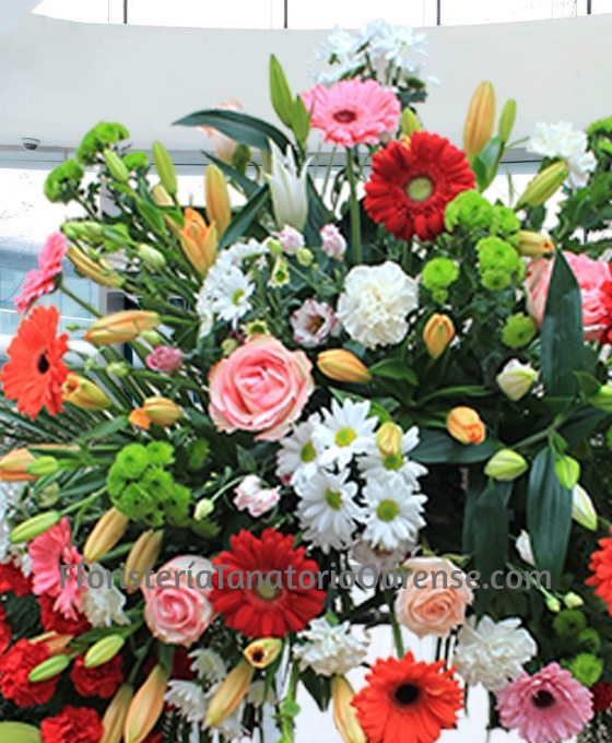 Corona funeraria clavel Rojo
