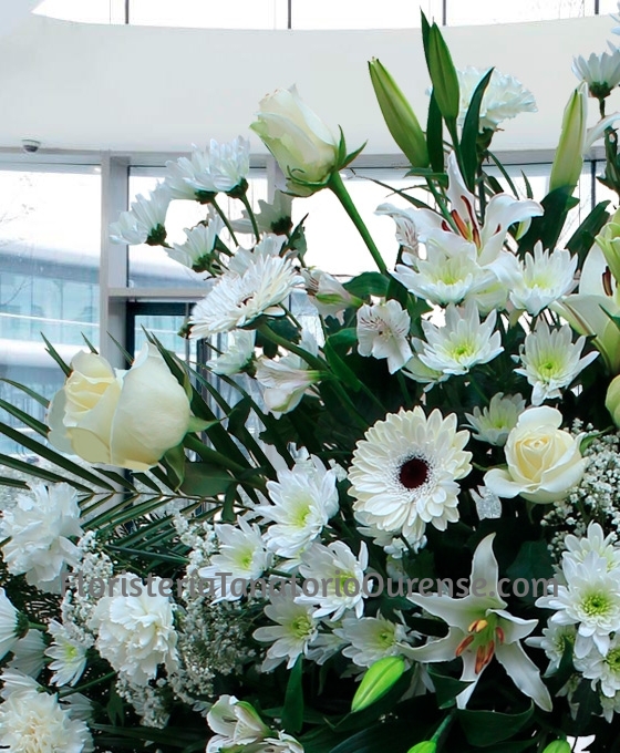Corona funeraria Clavel Blanca