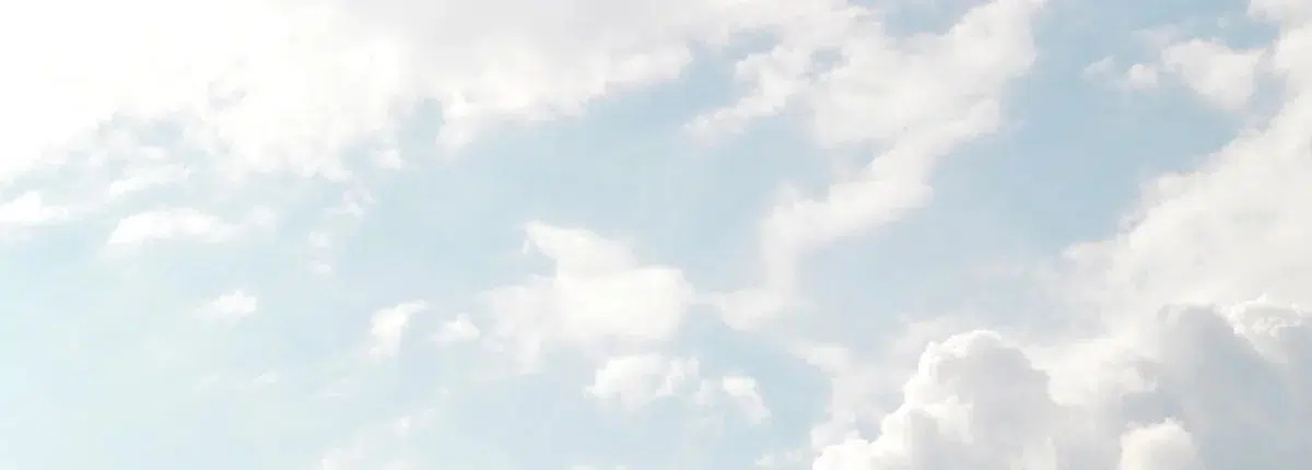 Flores para difuntos